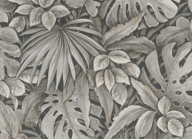 Botanica 33305