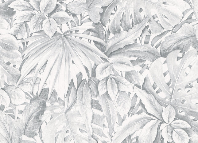 Botanica 33308