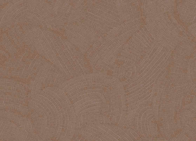 Sensory 340362