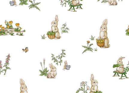 Rabbit Family