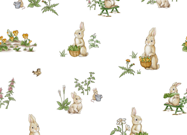 Rabbit Family