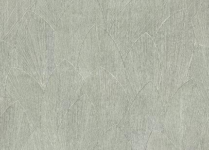 Timber 35377