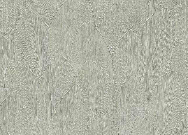 Timber 35377