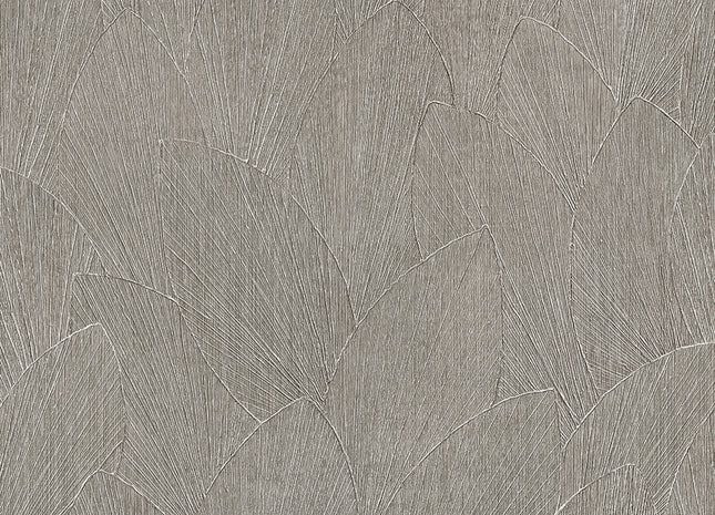 Timber 35384