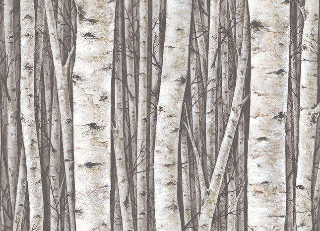 Timber 35394