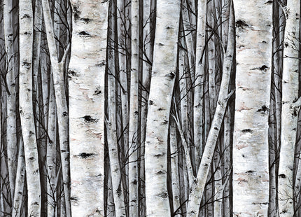 Timber 35397