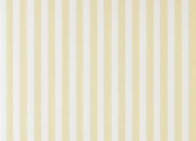 Closet Stripe 5029496165616