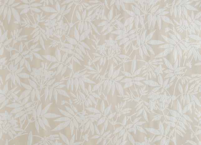 Jasmine 5051836570118