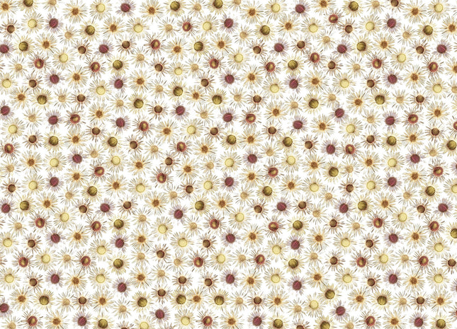 Flores 3002
