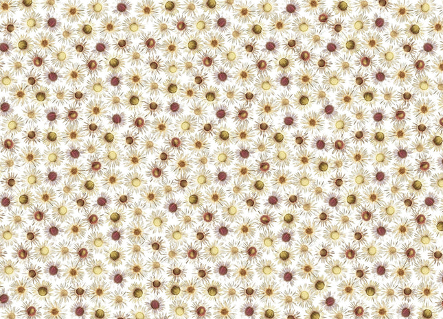 Muster 50 x 50 cm von Flores 3002