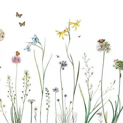 Butterfly Garden 2006