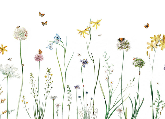 Butterfly Garden 2006