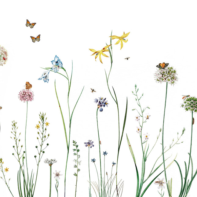 Butterfly Garden 2006