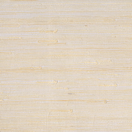 Muster von Natural Wallcoverings II 389519
