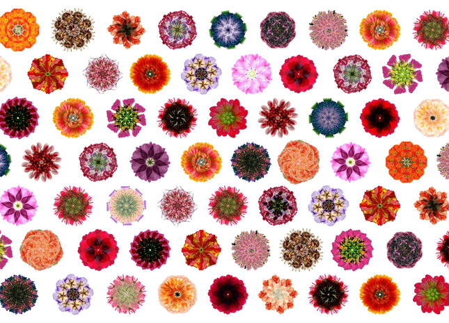 Muster 50 x 50 cm von Flores 3007