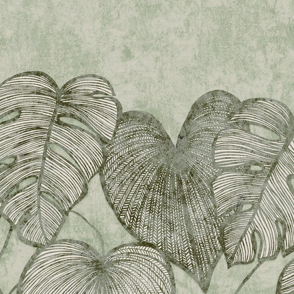 Muster von Monstera Twinwall 26973-HTM