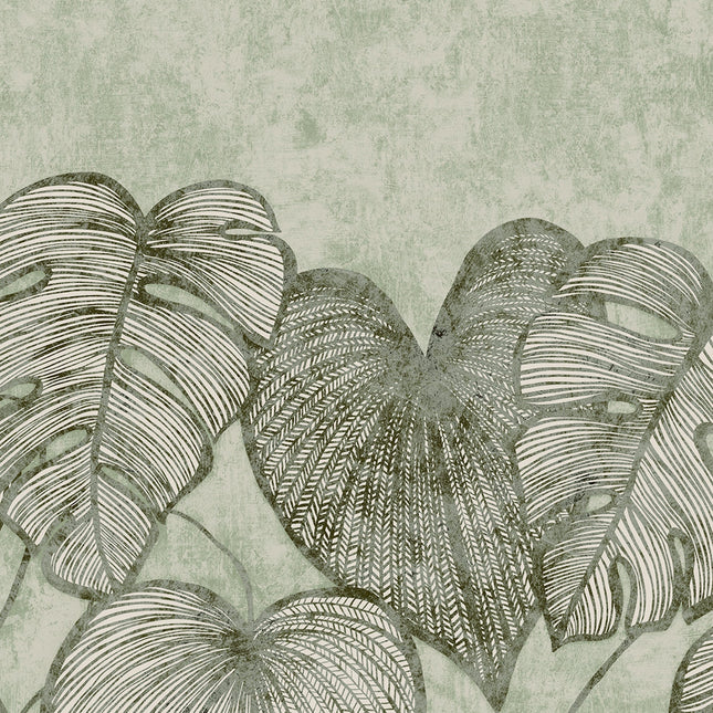 Muster von Monstera Twinwall 26973-HTM