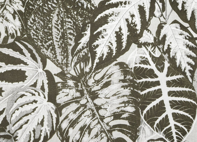 Elephant Leaf 81263-HTM