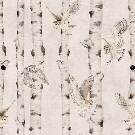 Birch and Owls - White
