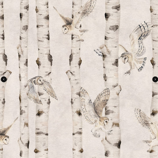 Birch and Owls - White