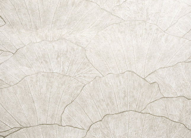 Seashell 65004-HTM