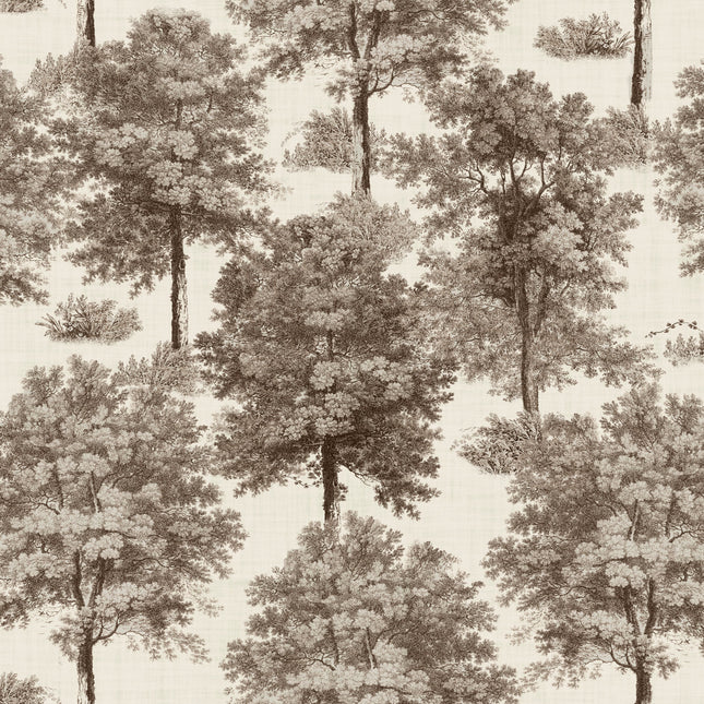 Chestnut tree B00353