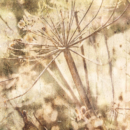 Wallpower Favourites 309022