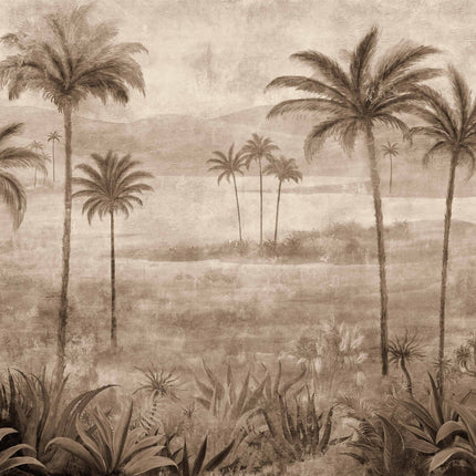 Draa Palms B00455