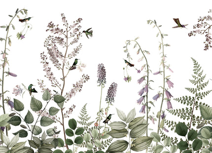 Hummingbird Hedge 2013