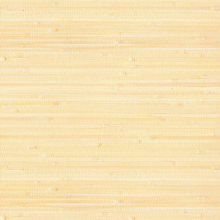 Natural Wallcoverings III 303536