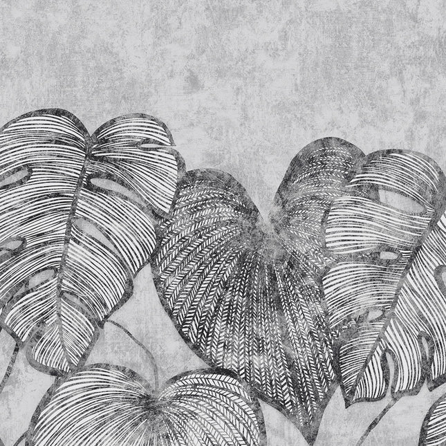 Muster von Monstera Twinwall 26977-HTM