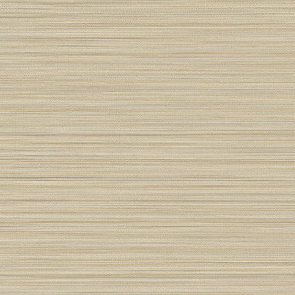 Muster von Cozumel 50533