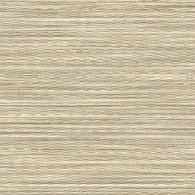 Muster von Cozumel 50533