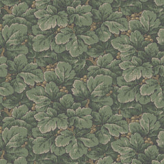 Collection image for: Borastapeter