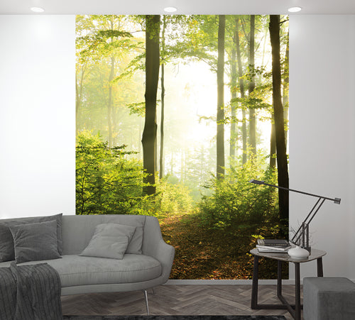 Smart Art Easy