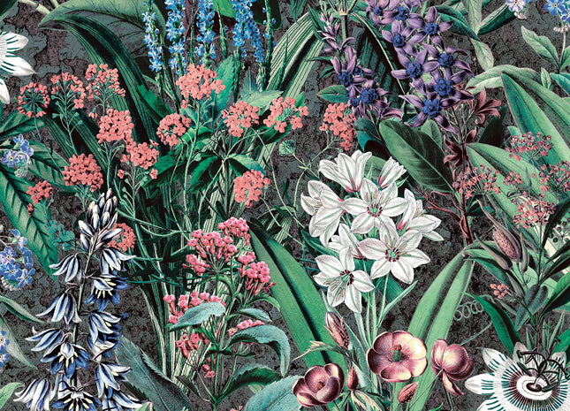 Flora 47475