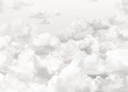 Clouds 26784-HTM