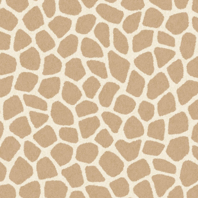 Muster von Explore 323033