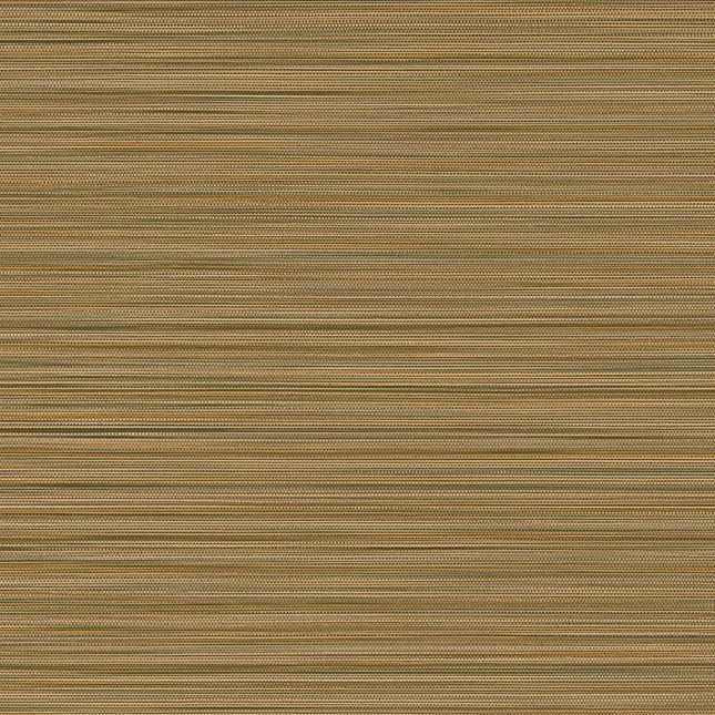 Muster von Cozumel 50537