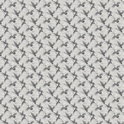 Imperial Ibis B00134