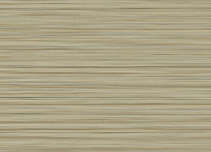 50536 50536
