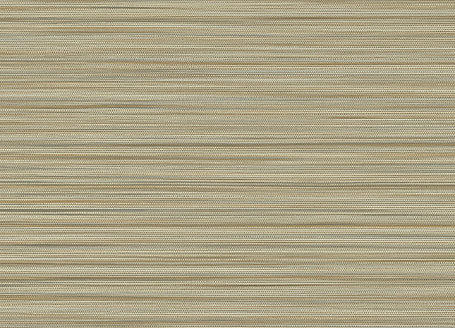 50536 50536