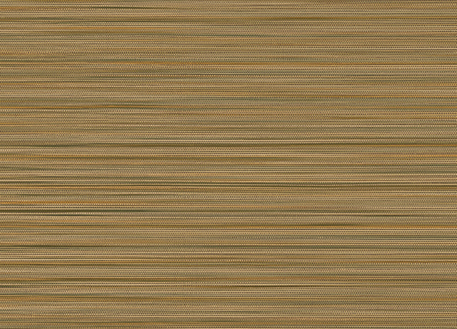 50537 50537