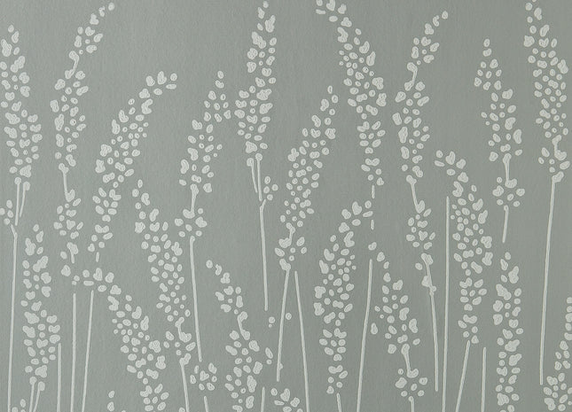 Feather Grass 5051836601218
