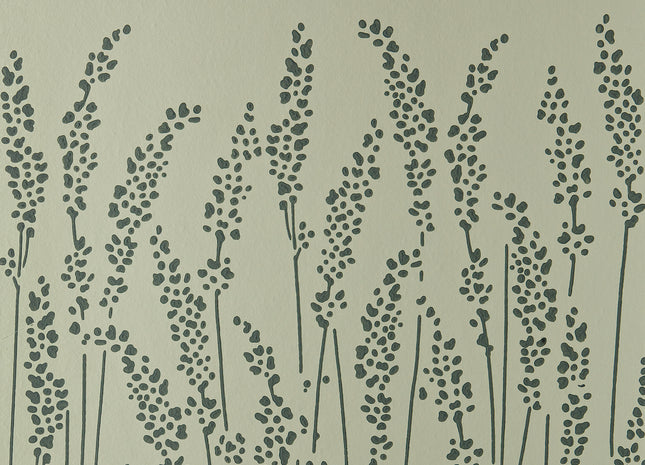 Feather Grass 5051836601515