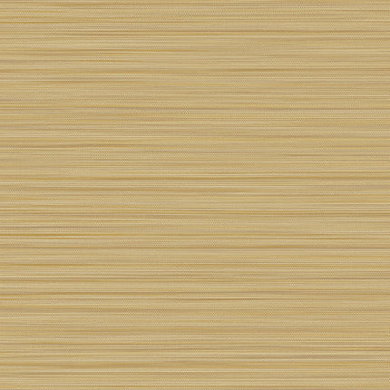 Muster von Cozumel 50538