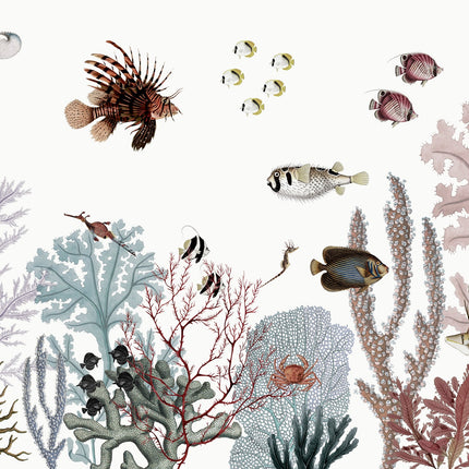 Roaring Reef white 2024