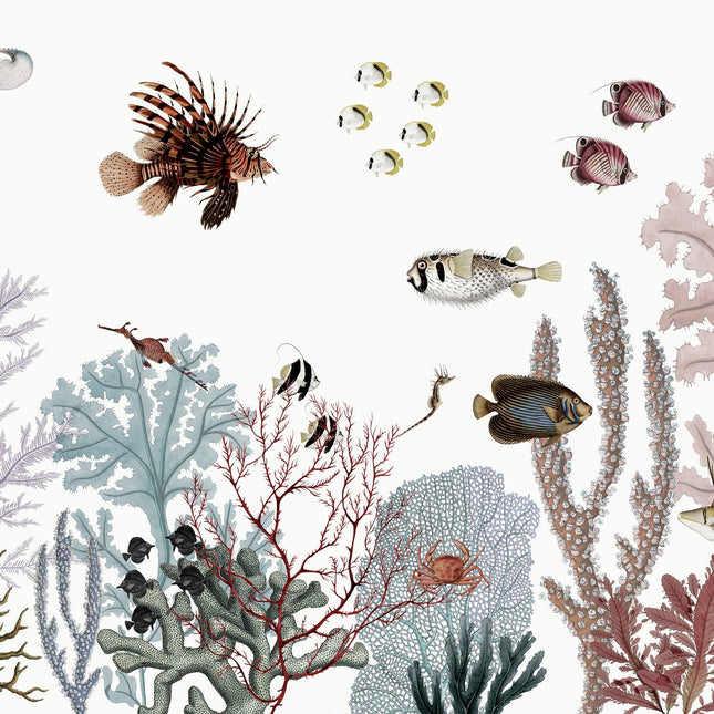 Roaring Reef white 2024