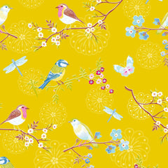 Collection image for: PIP 4