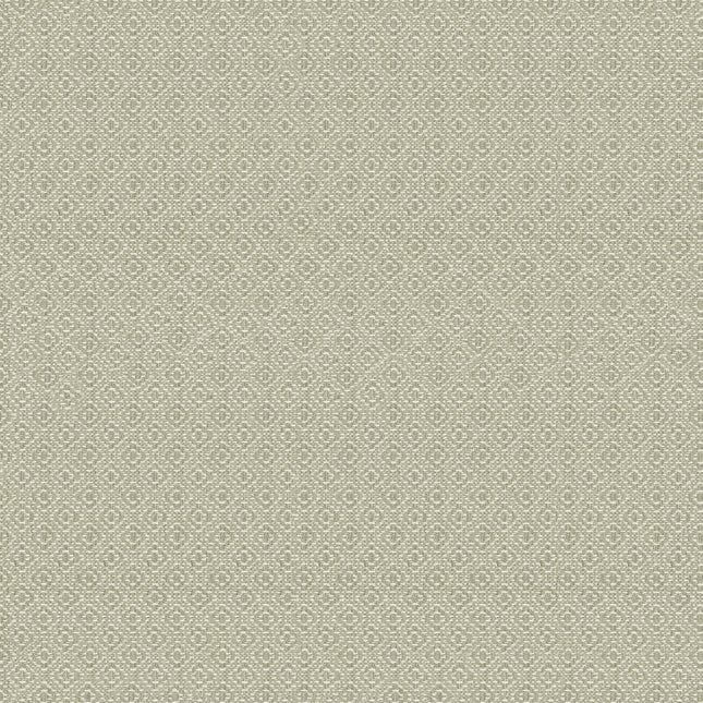 Sisal A00521